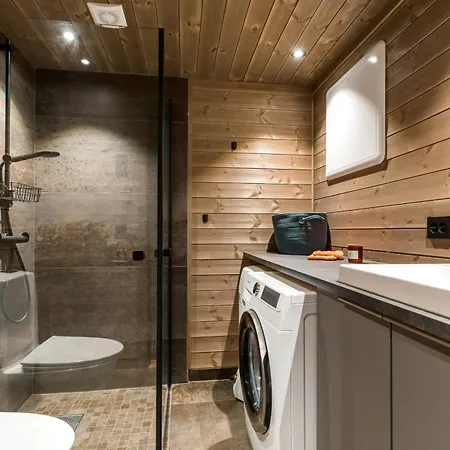 Modern In Golsfjellet * Gol